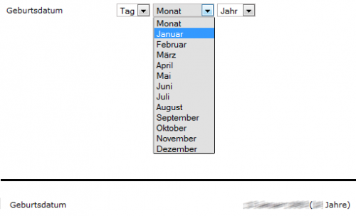 Das Benutzerfeld Geburtsdatum